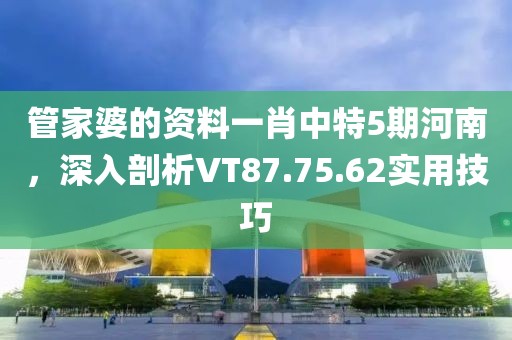 管家婆的资料一肖中特5期河南，深入剖析VT87.75.62实用技巧