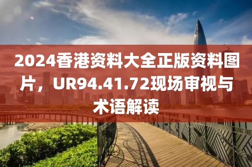 2024香港资料大全正版资料图片，UR94.41.72现场审视与术语解读