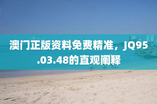 澳门正版资料免费精准，JQ95.03.48的直观阐释