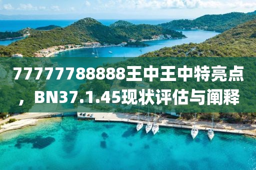 77777788888王中王中特亮点，BN37.1.45现状评估与阐释
