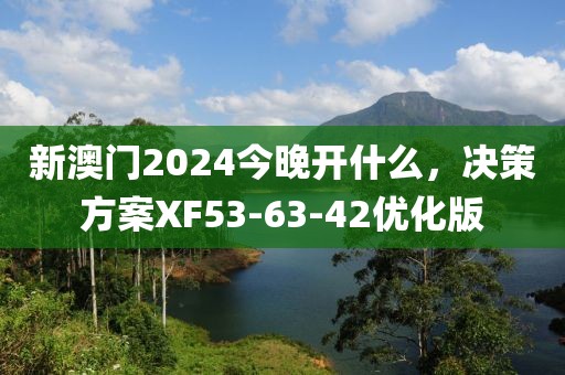 新澳门2024今晚开什么，决策方案XF53-63-42优化版