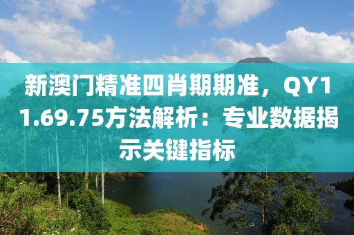 新澳门精准四肖期期准，QY11.69.75方法解析：专业数据揭示关键指标