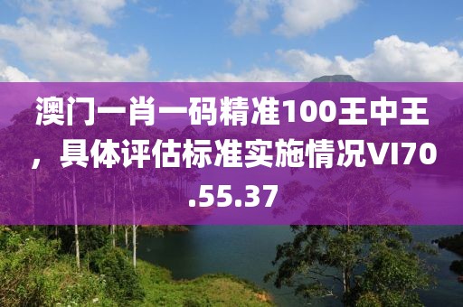 澳门一肖一码精准100王中王，具体评估标准实施情况VI70.55.37