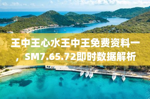 王中王心水王中王免费资料一，SM7.65.72即时数据解析