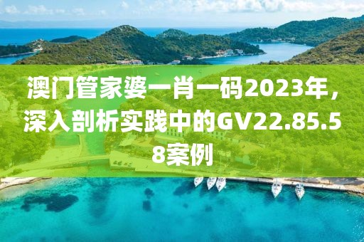 澳门管家婆一肖一码2023年，深入剖析实践中的GV22.85.58案例