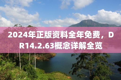 2024年正版资料全年免费，DR14.2.63概念详解全览