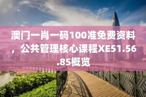 澳门一肖一码100准免费资料，公共管理核心课程XE51.56.85概览