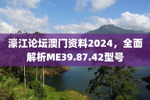 濠江论坛澳门资料2024，全面解析ME39.87.42型号
