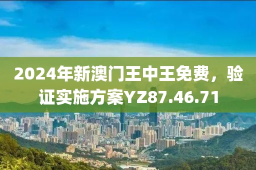 2024年新澳门王中王免费，验证实施方案YZ87.46.71