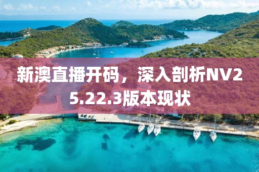新澳直播开码，深入剖析NV25.22.3版本现状