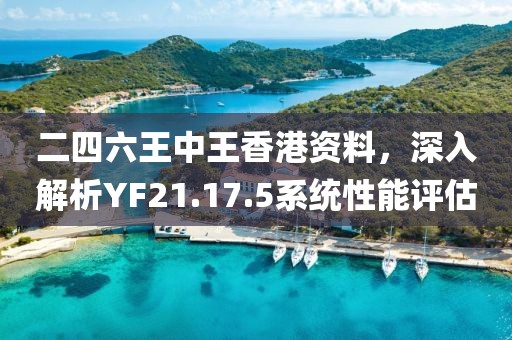 二四六王中王香港资料，深入解析YF21.17.5系统性能评估