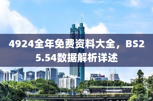4924全年免费资料大全，BS25.54数据解析详述