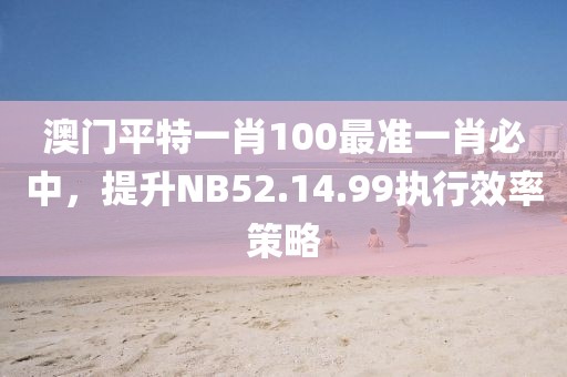 澳门平特一肖100最准一肖必中，提升NB52.14.99执行效率策略