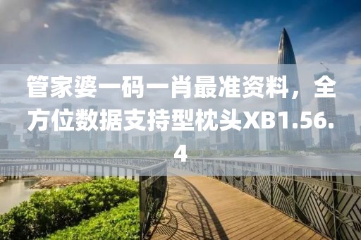 管家婆一码一肖最准资料，全方位数据支持型枕头XB1.56.4