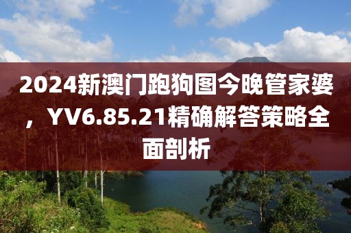2024新澳门跑狗图今晚管家婆，YV6.85.21精确解答策略全面剖析