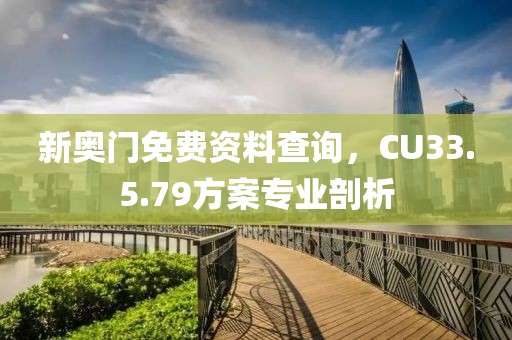 新奥门免费资料查询，CU33.5.79方案专业剖析