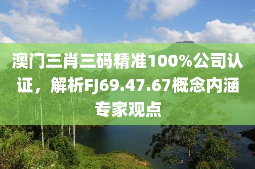 澳门三肖三码精准100%公司认证，解析FJ69.47.67概念内涵专家观点