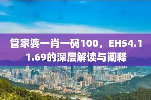 管家婆一肖一码100，EH54.11.69的深层解读与阐释