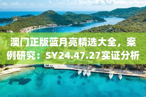 澳门正版蓝月亮精选大全，案例研究：SY24.47.27实证分析
