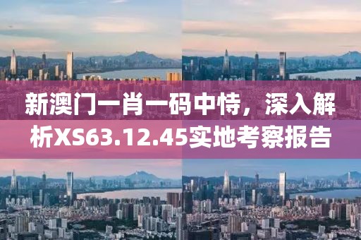 新澳门一肖一码中恃，深入解析XS63.12.45实地考察报告