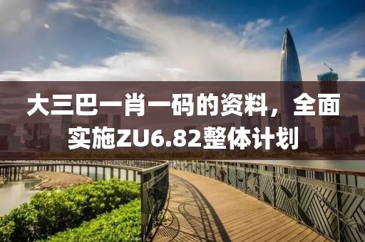 大三巴一肖一码的资料，全面实施ZU6.82整体计划