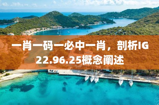 一肖一码一必中一肖，剖析IG22.96.25概念阐述