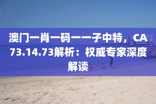 澳门一肖一码一一子中特，CA73.14.73解析：权威专家深度解读