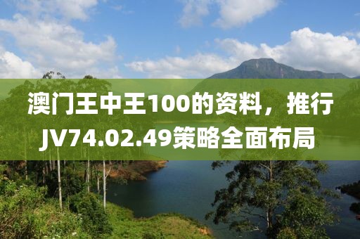 澳门王中王100的资料，推行JV74.02.49策略全面布局