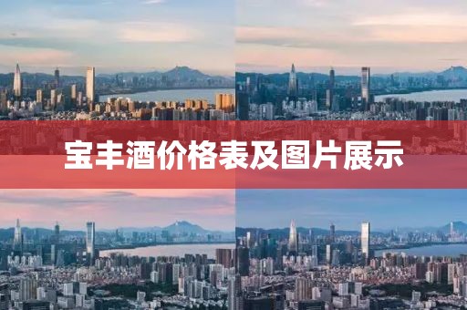 宝丰酒价格表及图片展示