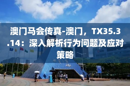 澳门马会传真-澳门，TX35.3.14：深入解析行为问题及应对策略