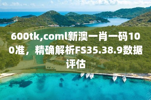 600tk,coml新澳一肖一码100准，精确解析FS35.38.9数据评估