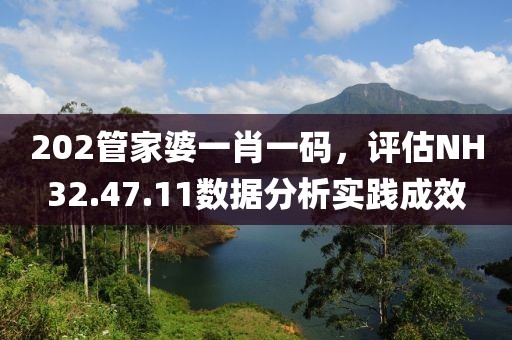202管家婆一肖一码，评估NH32.47.11数据分析实践成效