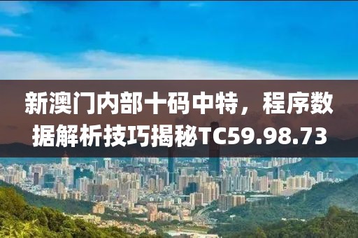 新澳门内部十码中特，程序数据解析技巧揭秘TC59.98.73