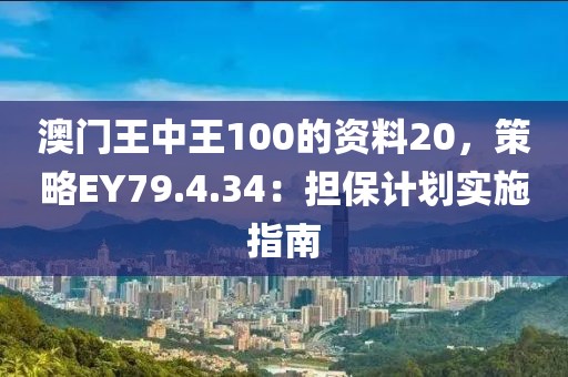 澳门王中王100的资料20，策略EY79.4.34：担保计划实施指南