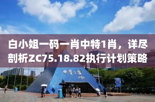 白小姐一码一肖中特1肖，详尽剖析ZC75.18.82执行计划策略
