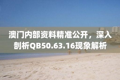 澳门内部资料精准公开，深入剖析QB50.63.16现象解析