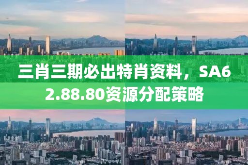 三肖三期必出特肖资料，SA62.88.80资源分配策略