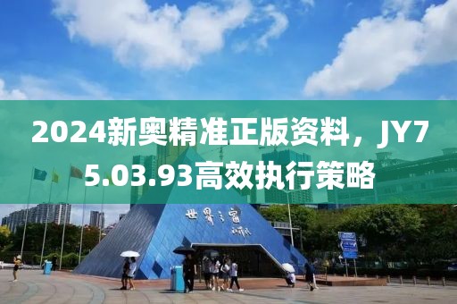 2024新奥精准正版资料，JY75.03.93高效执行策略