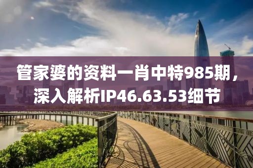 管家婆的资料一肖中特985期，深入解析IP46.63.53细节