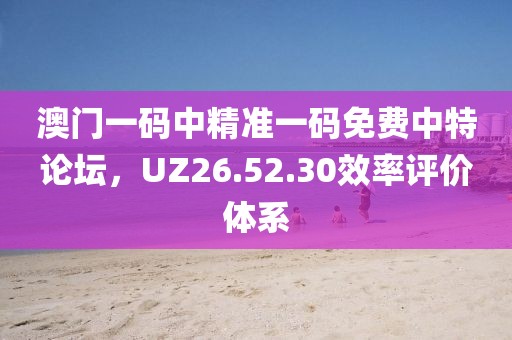 澳门一码中精准一码免费中特论坛，UZ26.52.30效率评价体系