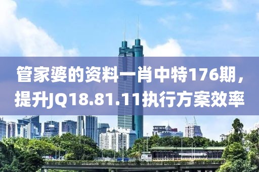 管家婆的资料一肖中特176期，提升JQ18.81.11执行方案效率