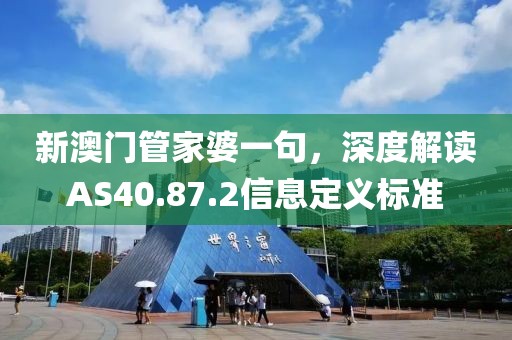 新澳门管家婆一句，深度解读AS40.87.2信息定义标准