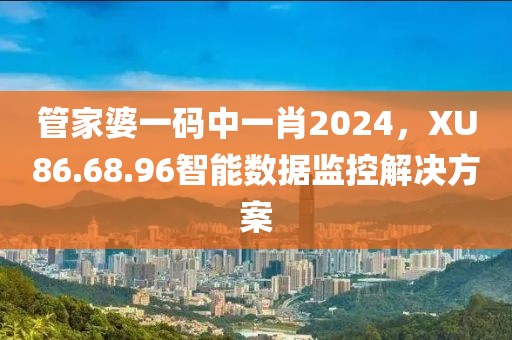 管家婆一码中一肖2024，XU86.68.96智能数据监控解决方案