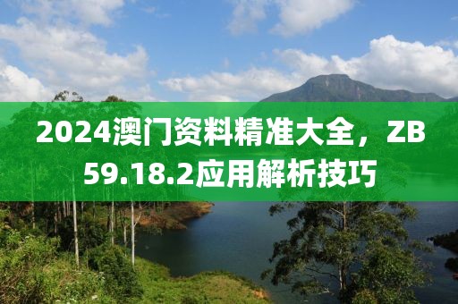 2024澳门资料精准大全，ZB59.18.2应用解析技巧