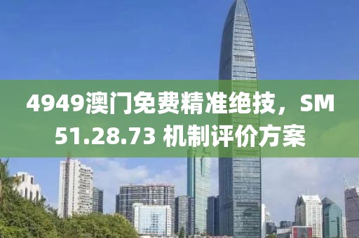4949澳门免费精准绝技，SM51.28.73 机制评价方案