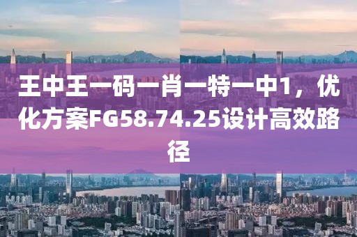 王中王一码一肖一特一中1，优化方案FG58.74.25设计高效路径