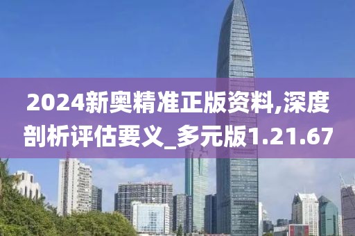 2024新奥精准正版资料,深度剖析评估要义_多元版1.21.67