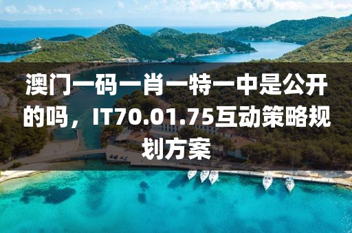 澳门一码一肖一特一中是公开的吗，IT70.01.75互动策略规划方案