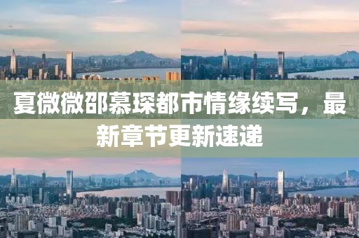 夏微微邵慕琛都市情缘续写，最新章节更新速递