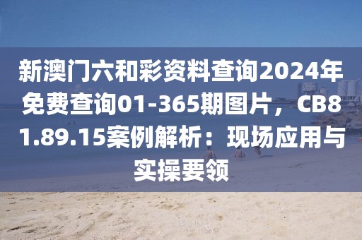 新澳门六和彩资料查询2024年免费查询01-365期图片，CB81.89.15案例解析：现场应用与实操要领